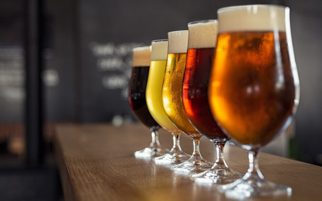 Beer Tasting is Back