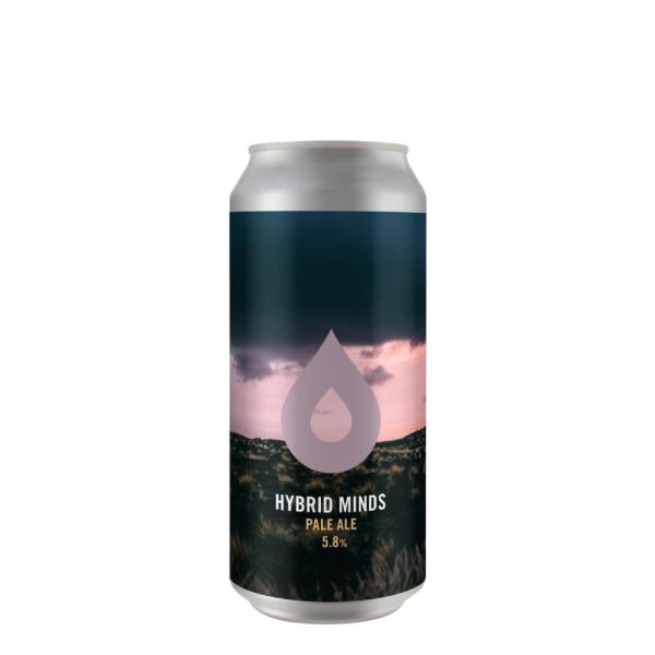 Pollys Brew Hybrid Minds Can 440ml - Wishful Drinking